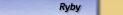 Ryby
