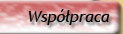 Wsppraca