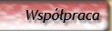 Wsppraca